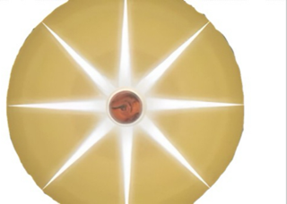 A tanish-yellow sand dollar with flat/straight top and bottom containing an eight-point white starburst pattern and a small orangey-brown disk at the center is used as a bullet point.